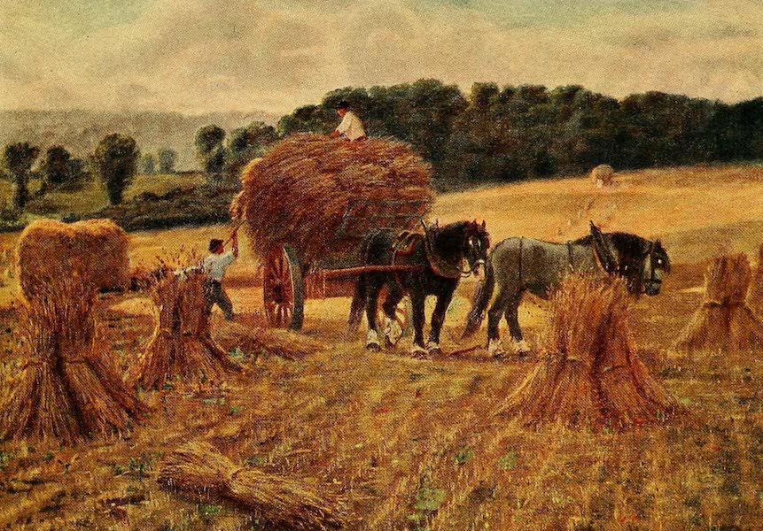 Harvesting in Hertfordshire