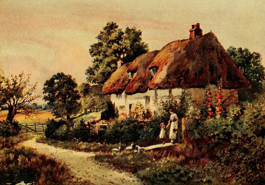 A Cottage in Holdenhurst, Hampshire