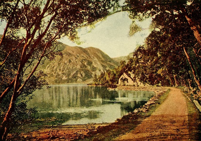 The Path By the Loch