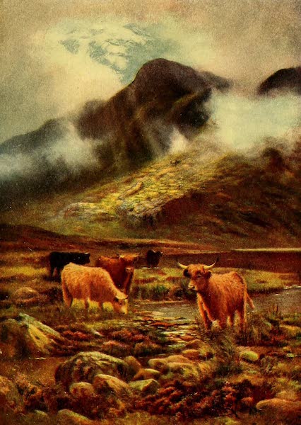 In the Scottish Highlands
