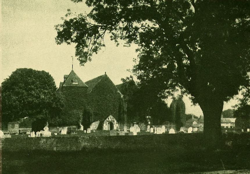 Winchelsea Church and Elm Tree
