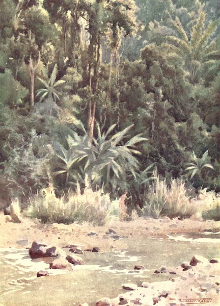 Burma, Painted and Described - A Jungle Stream (1905)