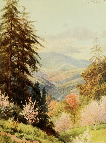 California : The Land of the Sun - Santa Cruz Mountains, the Coast Range (1914)