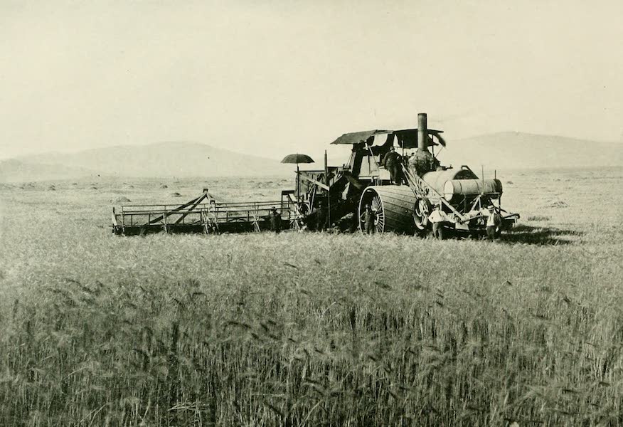 A thresher at work on a 17,000 acre wheat ranch