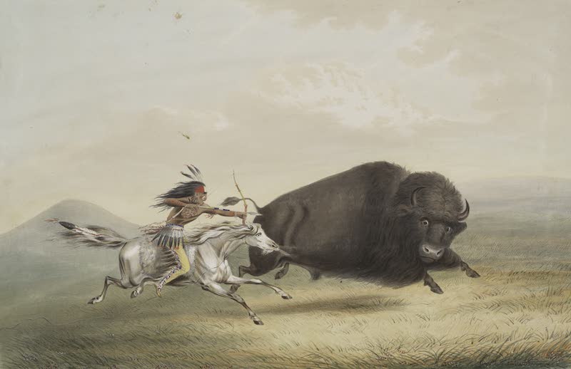 Catlin's Indian Portfolio - Buffalo Hunt Chase I (1844)