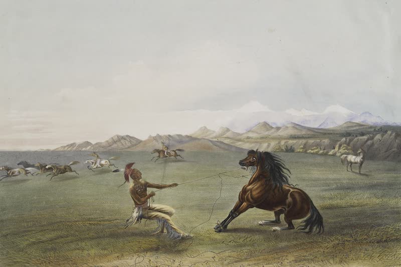 Catlin's Indian Portfolio - Catching the Wild Horse (1844)