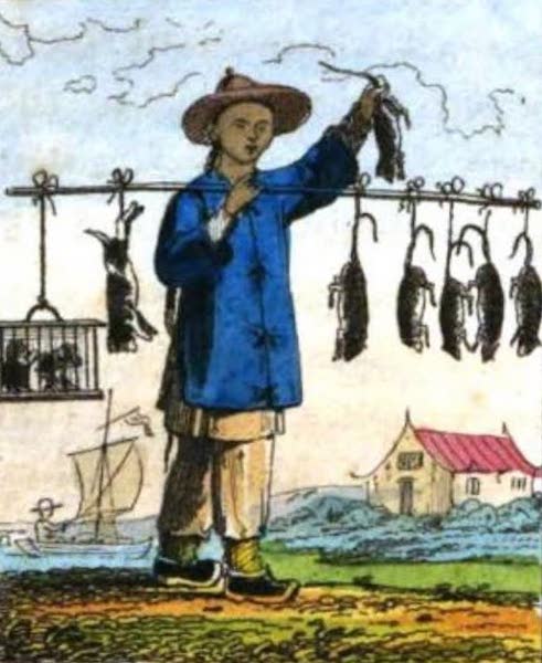 Cosmorama : A View of the Costumes and Peculiarities of all Nations - Chinese Pedlar With Rats and Puppies for Pies (1827)