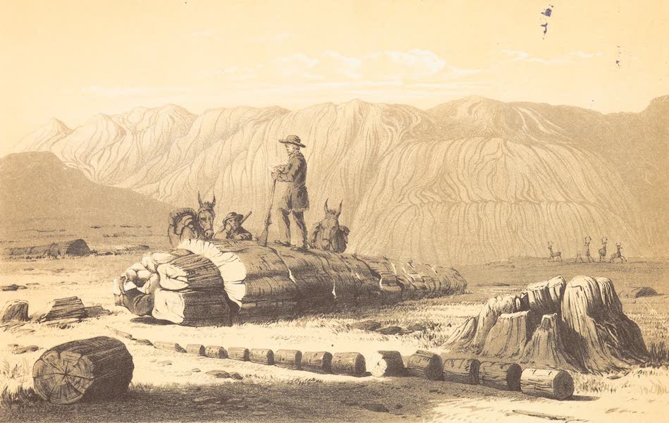 Journey from the Mississippi Vol. 1 - The Petrified Forest in the Valley of the Rio Seco (1858)