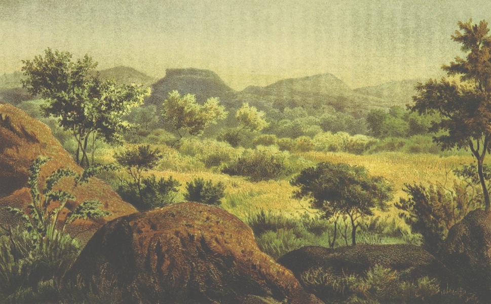 Landscahft aus dem Bechuanalande Bakatla Gebiet