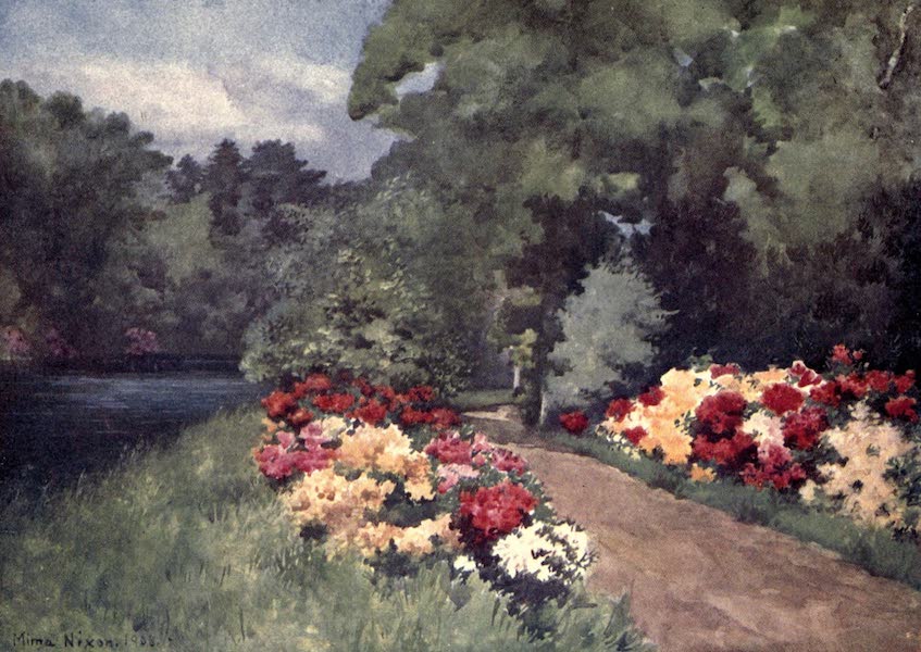 Dutch Bulbs and Gardens, Painted and Described - Azaleas, Het Loo (1909)
