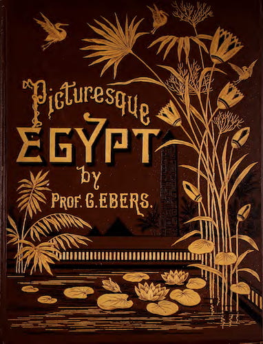 Archaeology - Egypt: Descriptive, Historical, and Picturesque Vol. 2