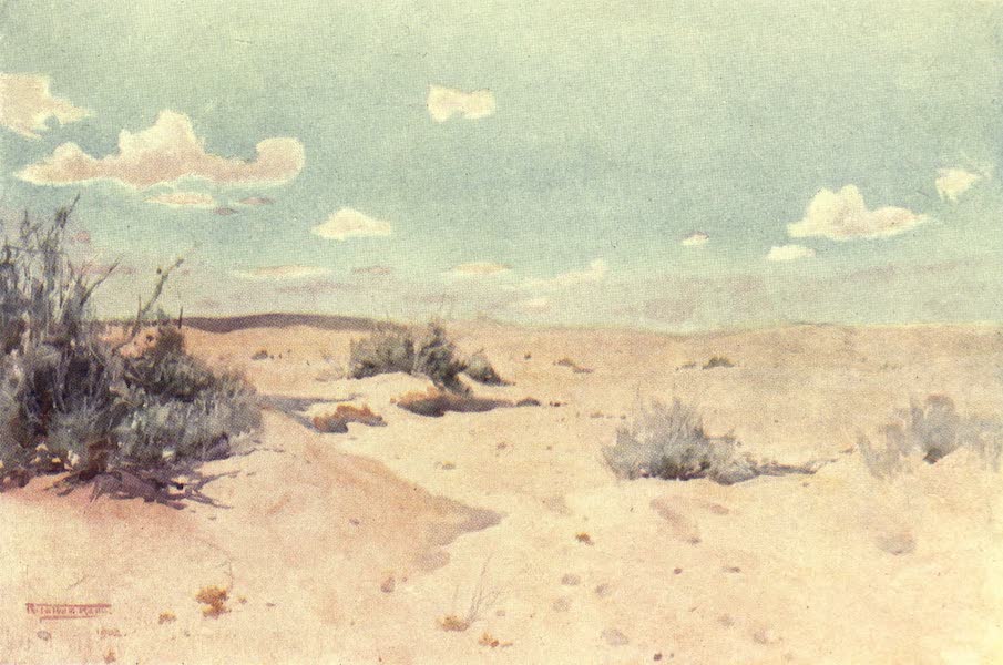 A Desert Study at Tel-el-Kebir