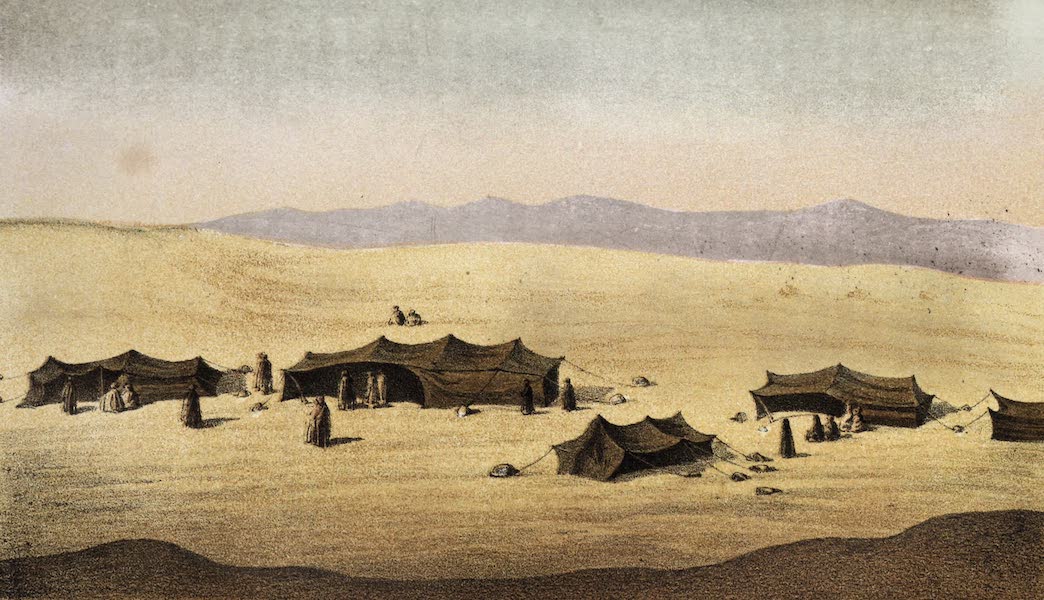 An Encampment of the Jellaheen Arabs