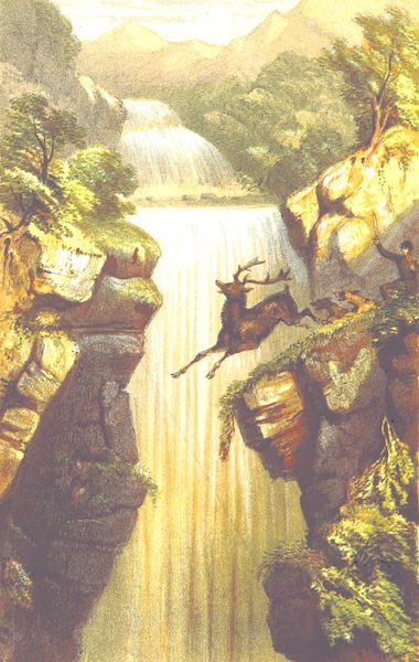 Eight Years' Wanderings in Ceylon - The Last Plunge (1855)