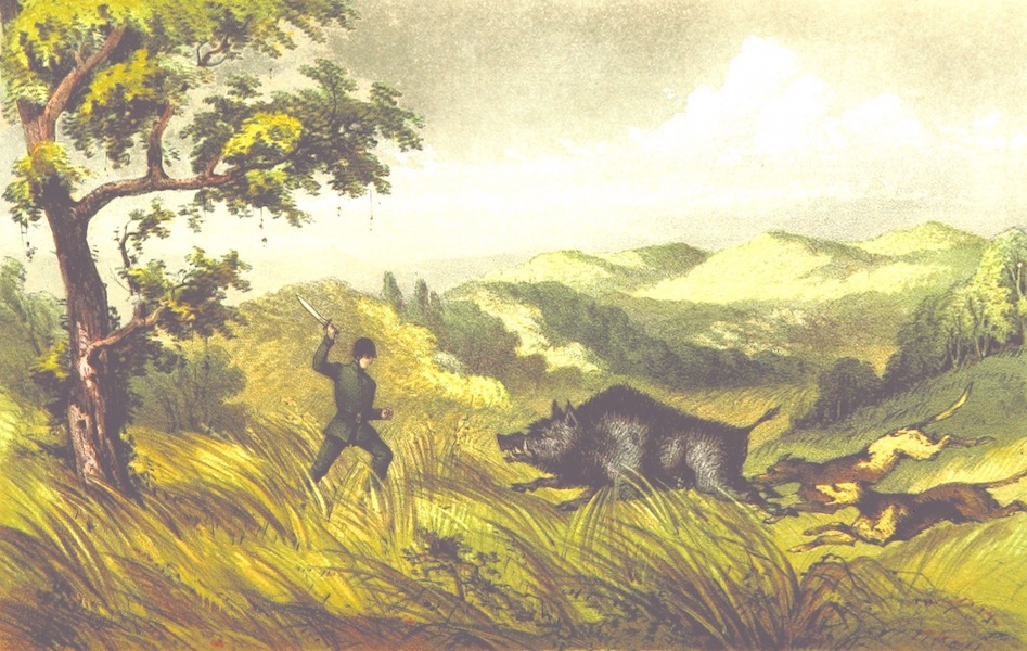 Eight Years' Wanderings in Ceylon - Close Quarters (1855)
