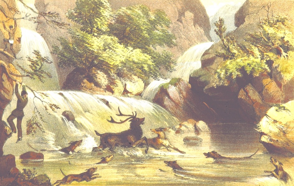 Eight Years' Wanderings in Ceylon - Phrenzy's Fall (1855)