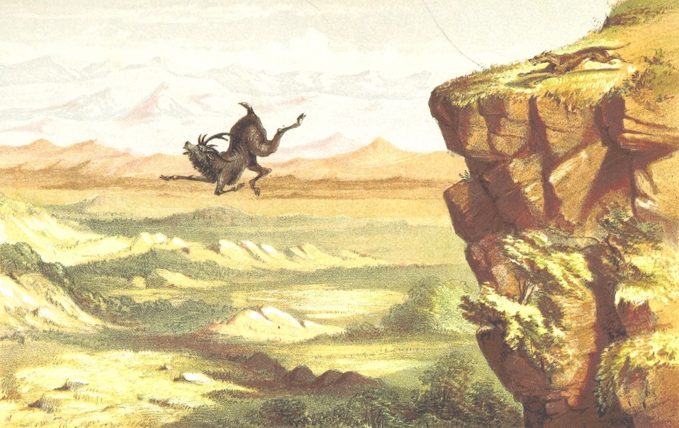 Eight Years' Wanderings in Ceylon - The Elk's Leap (1855)