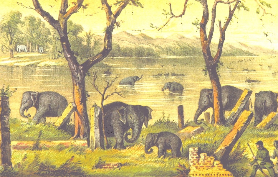 Eight Years' Wanderings in Ceylon - Tank Scene at Evening (1855)