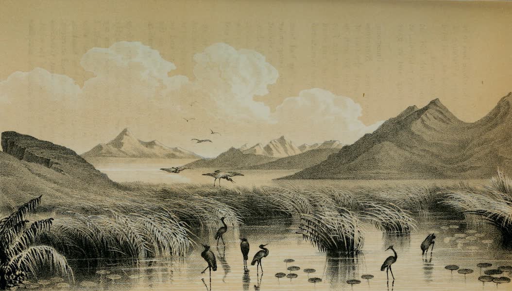Exploration and Survey of the Valley of the Great Salt Lake of Utah - Landing to Encamp - Bear River Bay - Great Salt Lake (1852)
