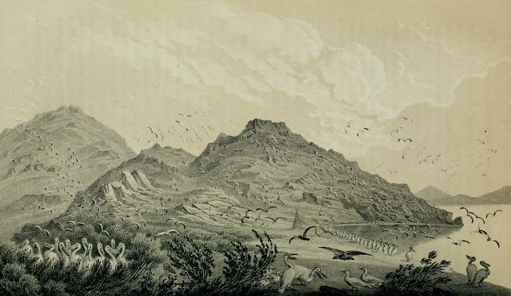 Exploration and Survey of the Valley of the Great Salt Lake of Utah - Gunnison's Island - Eastern Shore (1852)