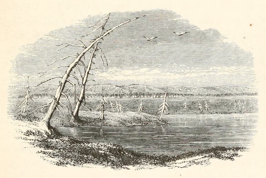 Explorations in the Interior of the Labrador Peninsula Vol. 1 - Caribou Lake Near the Table Land (1863)
