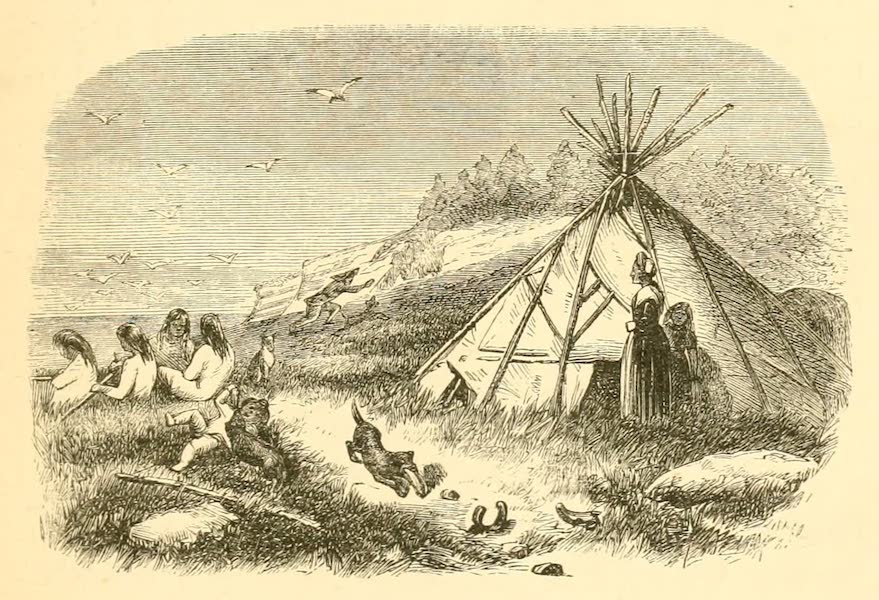 Montagnais Camp on One of the Mingan Islands