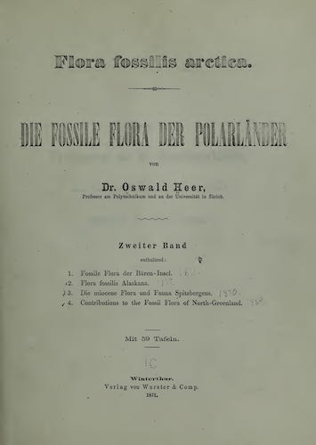 Flora Fossilis Arctica Vol. 2 (1871)