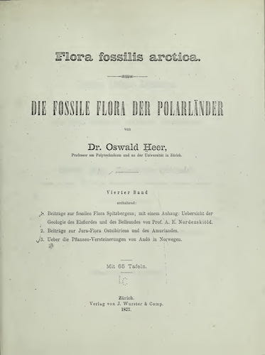 Flora Fossilis Arctica Vol. 4 (1877)