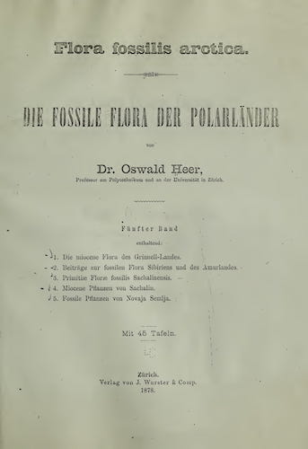 Flora Fossilis Arctica Vol. 5 (1878)