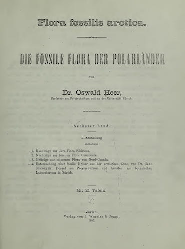 Flora Fossilis Arctica Vol. 6 (1880)