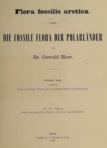 Flora Fossilis Arctica Vol. 7 (1883)