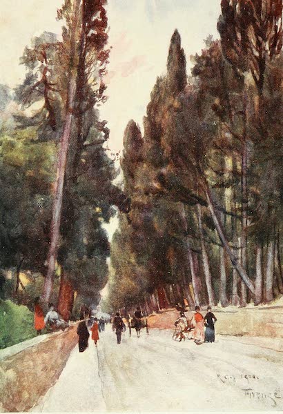 Looking down the Cypress Avenue of Poggio Imperiale, on the Road to Arcetri