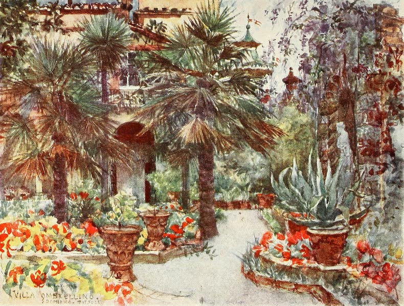 Florence & Some Tuscan Cities Painted and Described - Tulips and Wistaria in Spring-time, in the Garden of a Florentine Villa (1905)