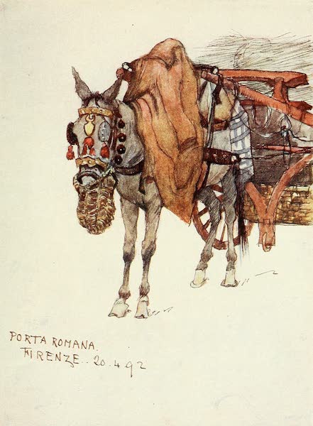 Florence & Some Tuscan Cities Painted and Described - Study of Mule, with Decorated Harness (1905)