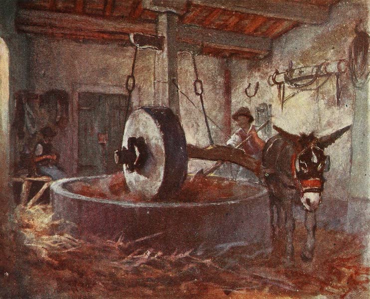 Florence & Some Tuscan Cities Painted and Described - Tuscan Oil Press (1905)