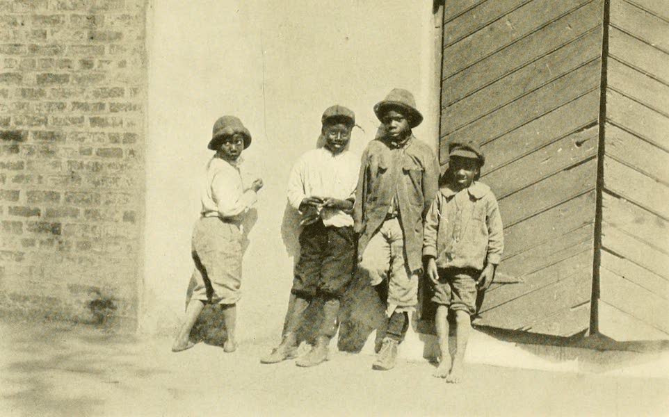 Florida, the Land of Enchantment - A Little Group of Future Citizens (1918)