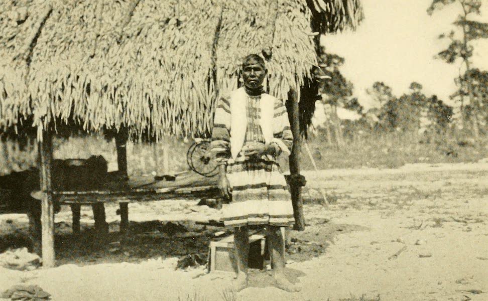 An Old Seminole Indian