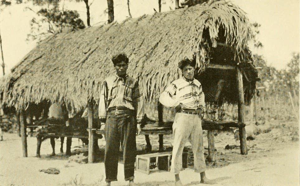 A Seminole Hut and Indian Youths