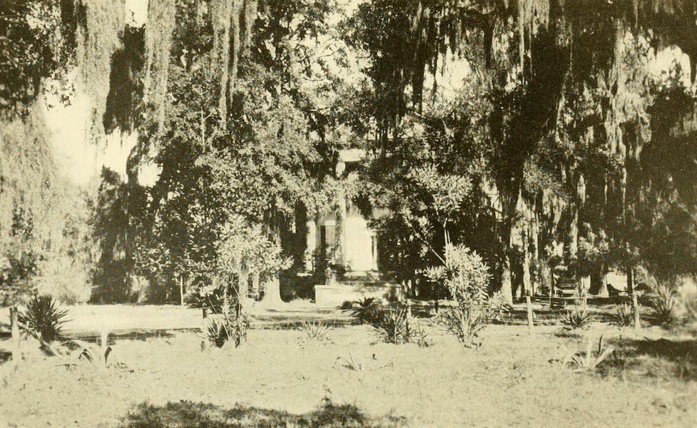 A Home in Tallahassee