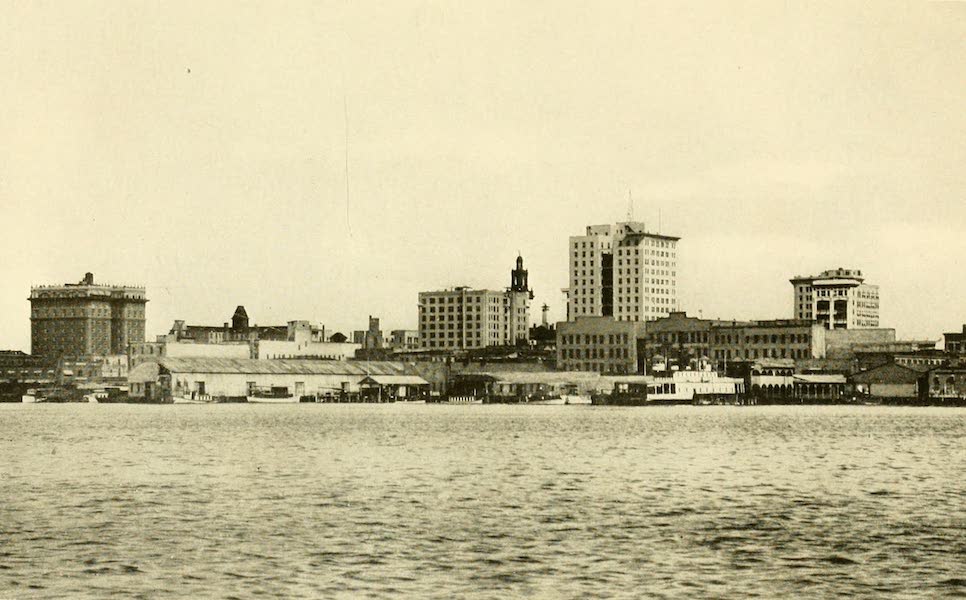 A View of Jacksonville from the St. John's River