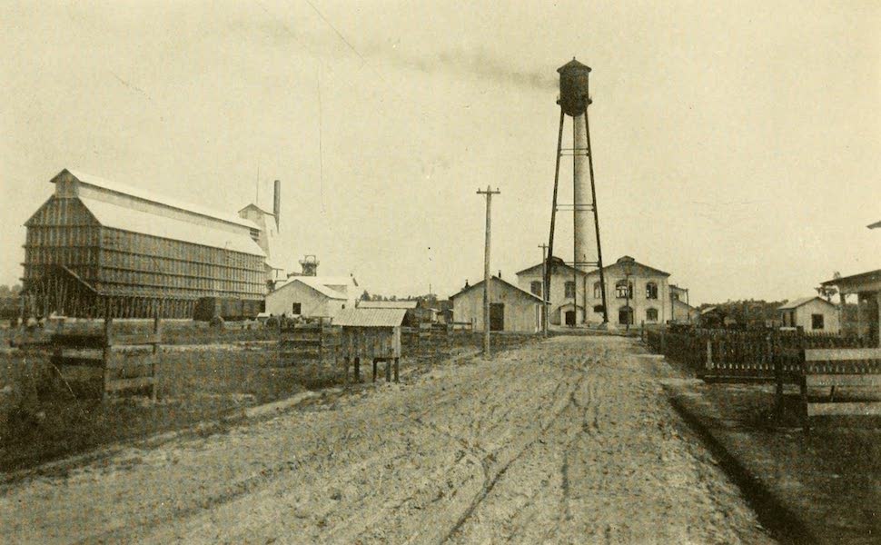 A Phosphate Plant, near Lakeland