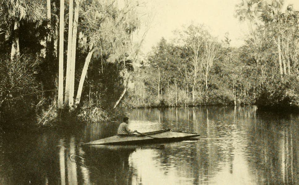 A Tropical Florida River