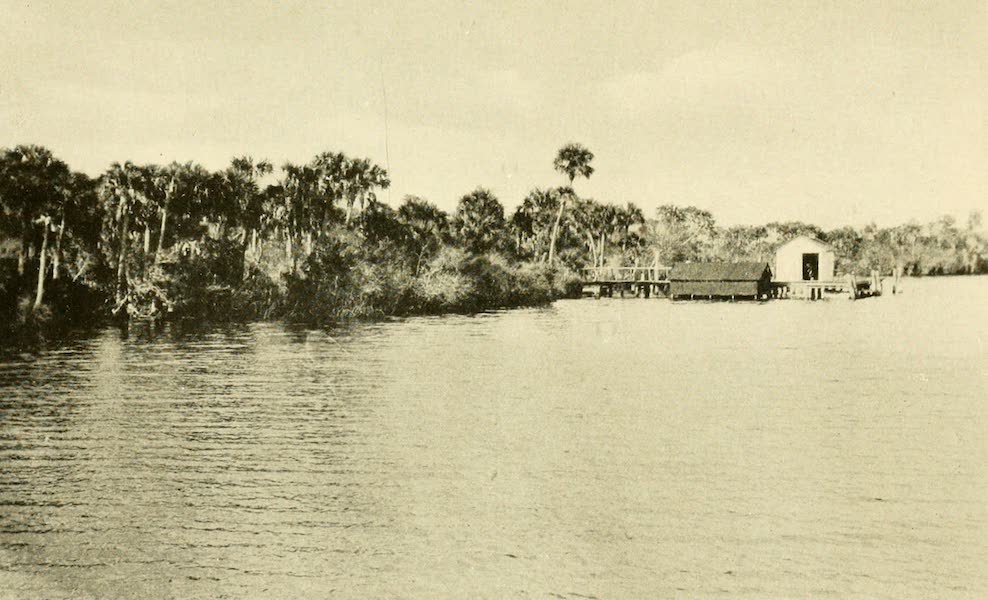 Along the Caloosahatchee River