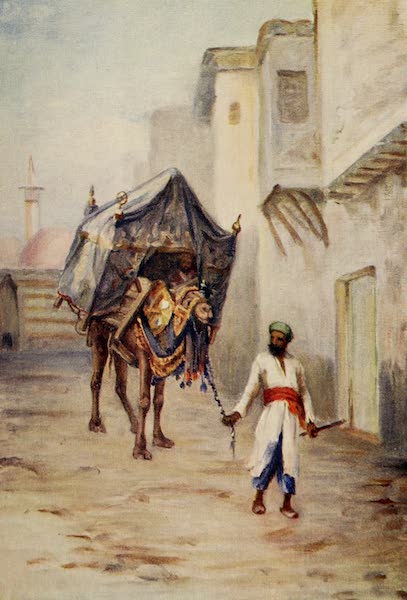 Camel Driver