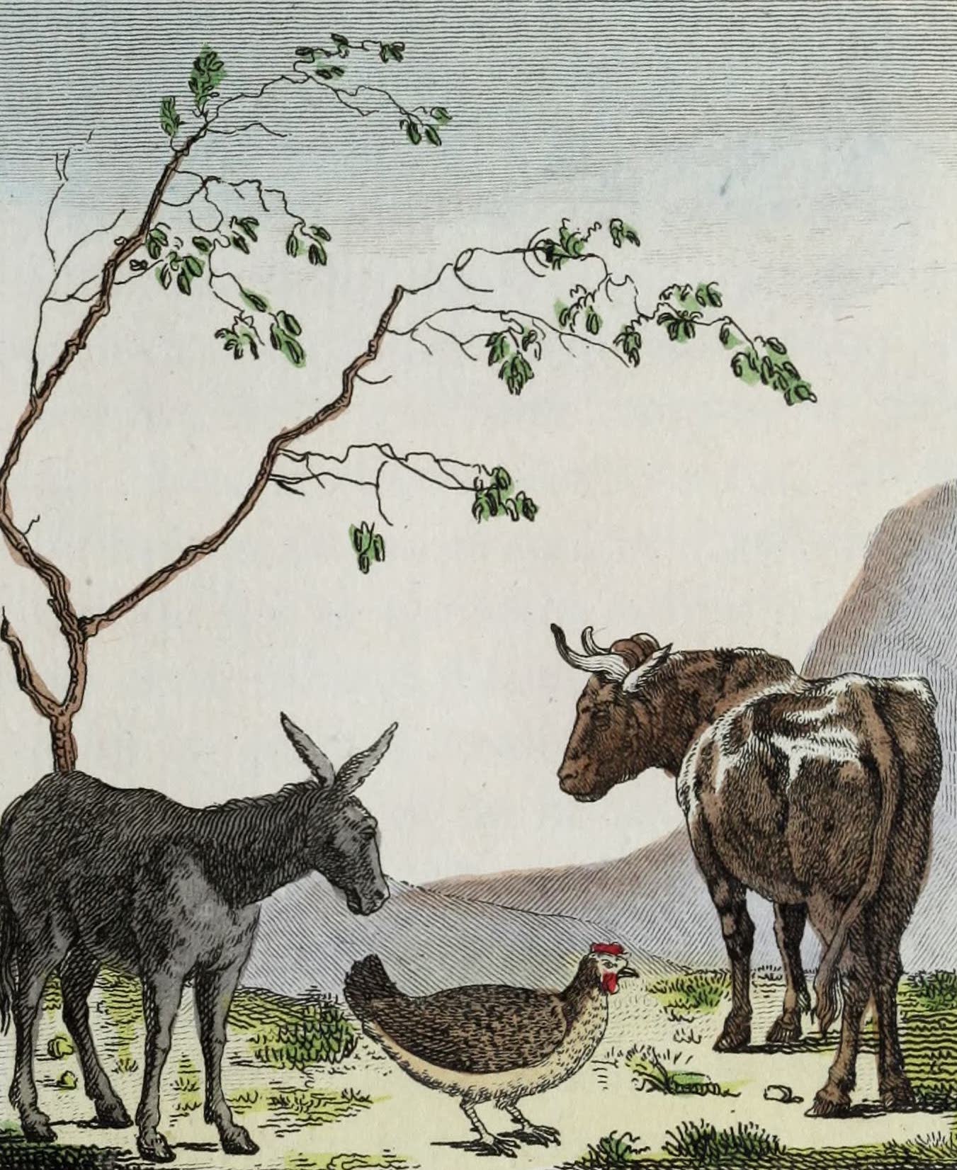 Geographie Vivante, ou, Tableaux Raisonnes - L'Ane, la Poule, le Boeuf (1821)