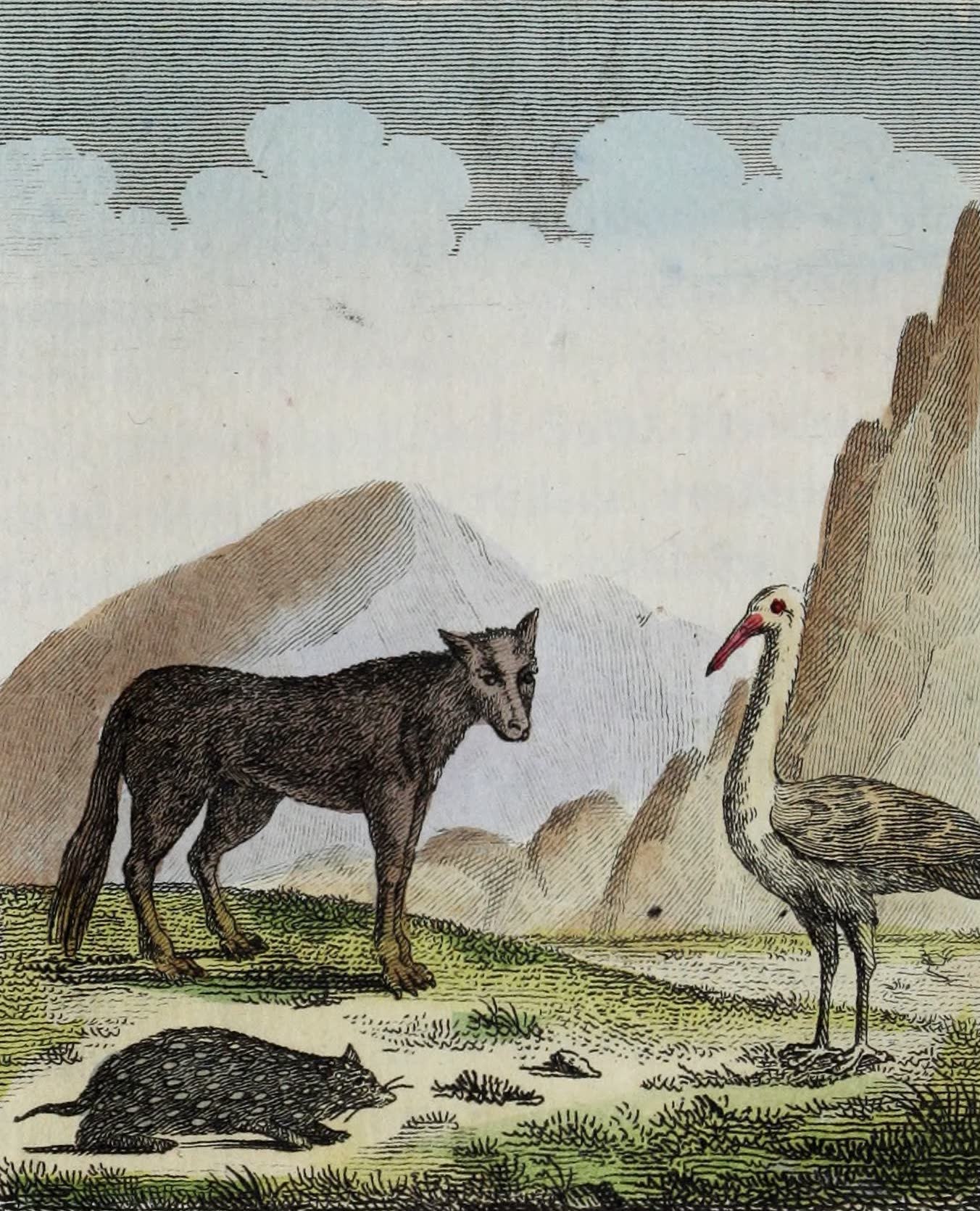 Geographie Vivante, ou, Tableaux Raisonnes - Le Loup, le Souslick, la Cigogne (1821)