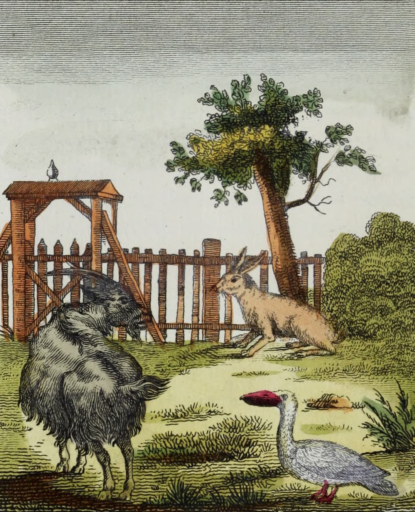 Geographie Vivante, ou, Tableaux Raisonnes - Le Lievre, la Chevre d'Angora, le Pelican (1821)