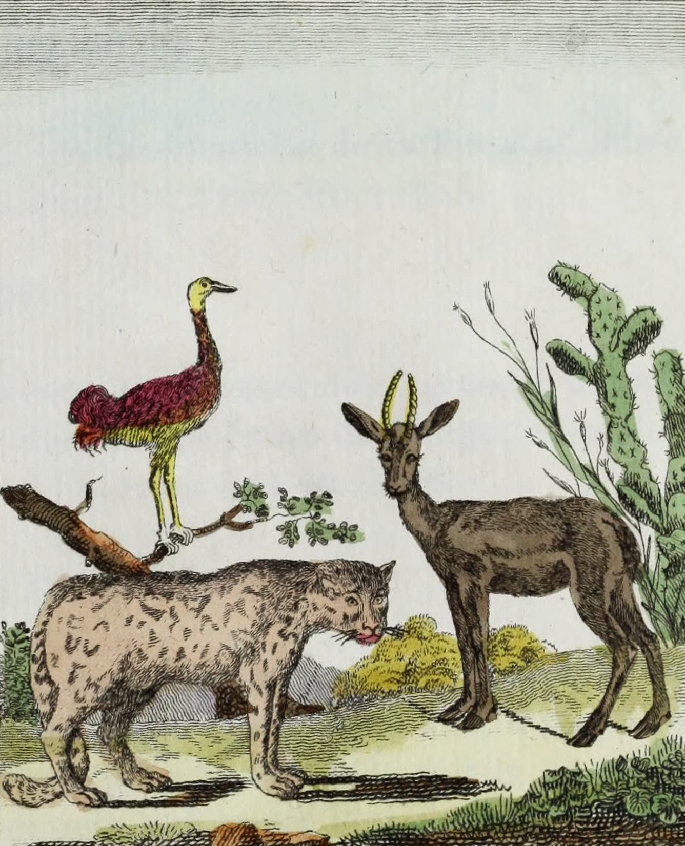 Geographie Vivante, ou, Tableaux Raisonnes - La Grue, l'Onee, la Gazelle (1821)