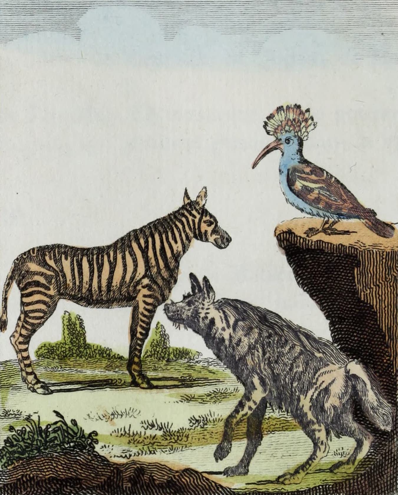Geographie Vivante, ou, Tableaux Raisonnes - Le Zebre, la Huppe, l'Hyene (1821)