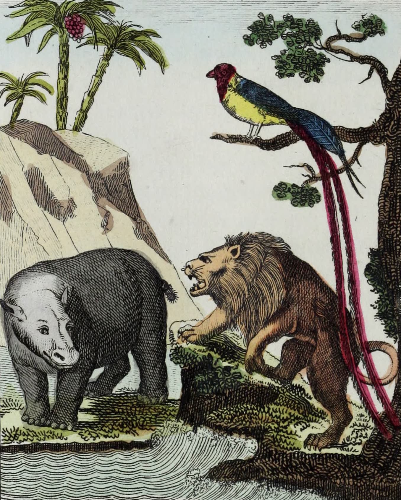Geographie Vivante, ou, Tableaux Raisonnes - L'Hippopotame, le Lion, la Veuve (1821)